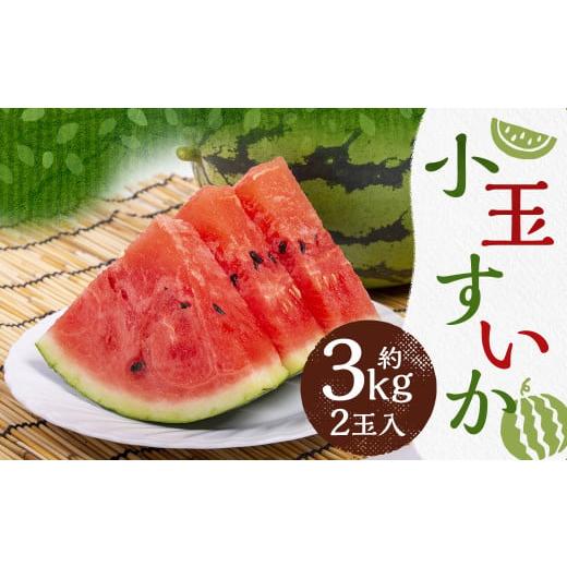ふるさと納税 スイカ 熊本県 益城町 小玉 すいか 2玉入り 3Lサイズ 約3kg 2026年4月下旬〜8上旬発送予定