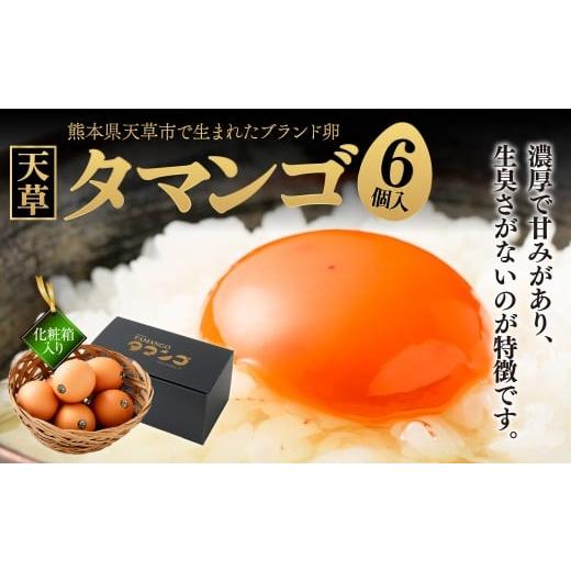 ふるさと納税 卵(鶏、烏骨鶏等) 熊本県 - 熊本県天草市で生まれたブランド卵「天草タマンゴ」6個入 化粧箱入 卵 たまご タマゴ 生卵 生たまご 卵黄 卵 熊本…