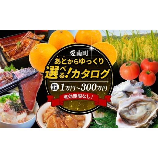 ふるさと納税 地域のお礼の品 愛媛県 愛南町 あとから選べる オンラインカタログ 1万円 寄附金額:1万円
