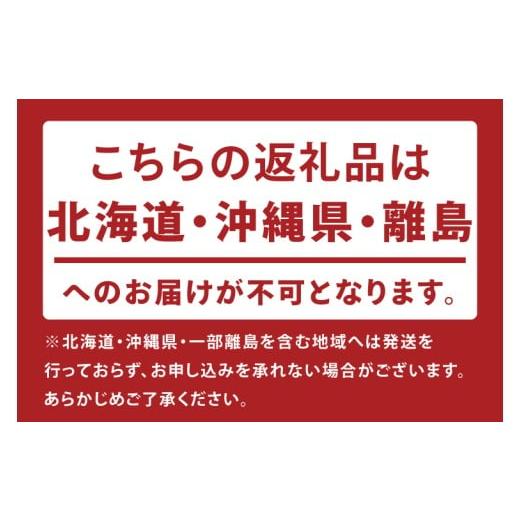 ふるさと納税 家具 テーブル 茨城県 取手市 電動昇降デスクJDEB-100 天板：WH×脚：ホワイト｜机 デスク 電動昇降 オフィス テレワーク 小島工芸 茨城県 取手…_6