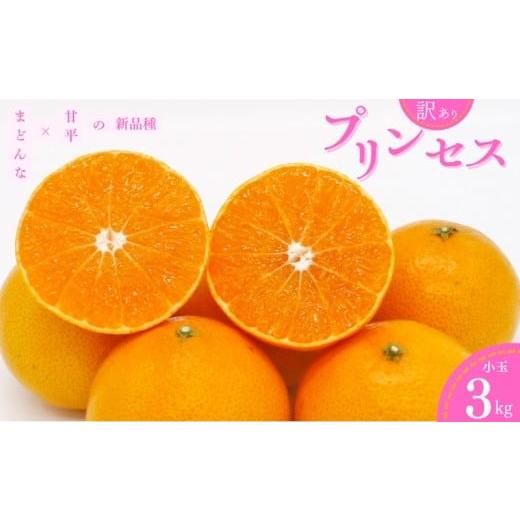 ふるさと納税 果物類 みかん 愛媛県 愛南町 訳あり プリンセス (愛果48号) 3kg みかん 小玉 愛媛県 の 新品種 高級 人気 ブランド 柑橘 果物 フルーツ サイ…