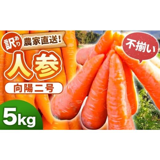 ふるさと納税 野菜類 人参 鹿児島県 薩摩川内市 先行予約 訳あり 農家直送 不揃い 人参 (向陽二) 5kg 2025年12月上旬から2026年2月下旬頃発送予定 にんじん…