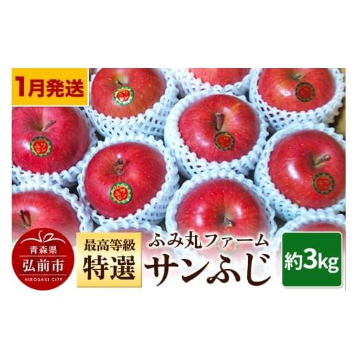 ふるさと納税 りんご 青森県 弘前市 26年1月〜発送 りんご ふみ丸ファーム 最高等級「特選」サンふじ 約3kg
