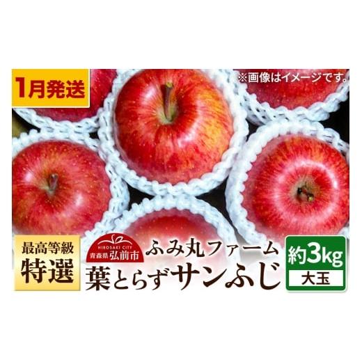 ふるさと納税 りんご 青森県 弘前市 26年1月〜発送 りんご 最高等級「特選」大玉 葉とらず サンふじ 約3kg 糖度14度以上