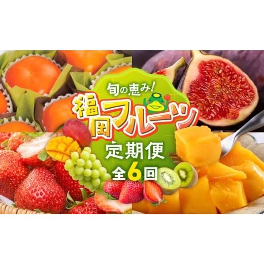 ふるさと納税 いちご 福岡県 久留米市 定期便 6回 旬の恵み 福岡フルーツ定期便 _ 定期便 6回 フルーツ 完熟 マンゴー シャインマスカット 黒イチジク ビオレ…