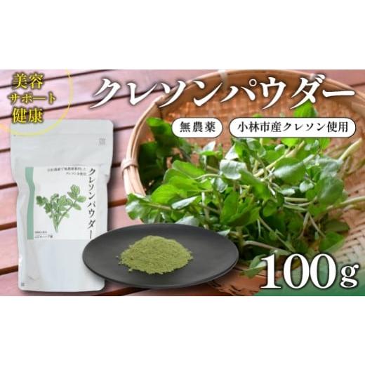 ふるさと納税 野菜類 ハーブ 宮崎県 小林市 注目のスーパーフード 天然クレソンパウダー 100g(国産 天然 粉末 パウダー 美容 野菜)