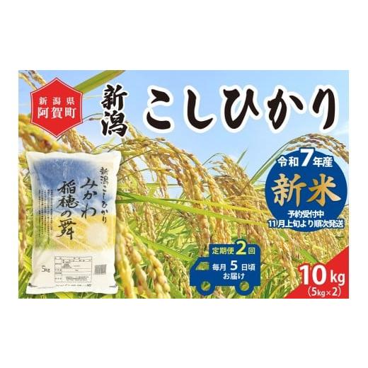 ふるさと納税 米 コシヒカリ 新潟県 阿賀町 [令和7年産米] 定期便 2回 新潟県阿賀町産 コシヒカリ「みかわ稲穂の舞」10kg(5kg×2袋)