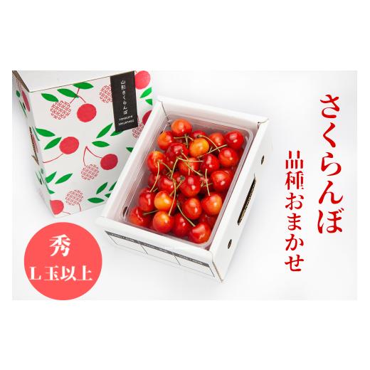 ふるさと納税 果物類 さくらんぼ 山形県 天童市 08-06-045 天童のおすすめさくらんぼ500g