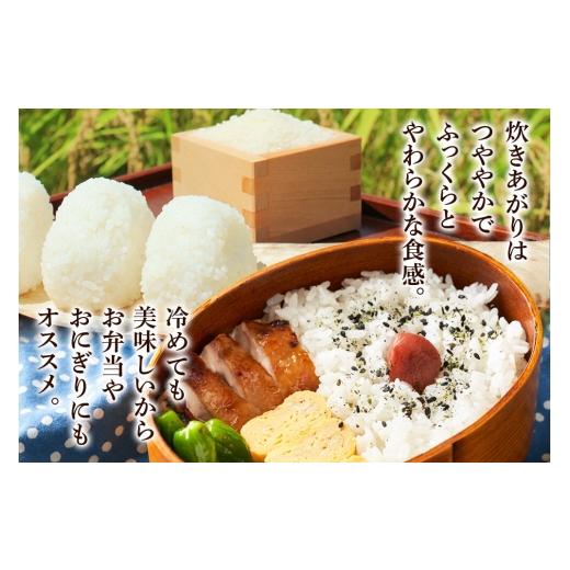 ふるさと納税 米 あきたこまち 秋田県 横手市 《令和7年産》 米 あきたこまち 20kg（5kg×4袋） 玄米 秋田県産 米 コメ 玄米 あきたこまち おいしい 美味しいの画像