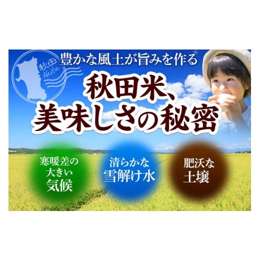 ふるさと納税 米 あきたこまち 秋田県 横手市 《令和7年産》 米 あきたこまち 20kg（5kg×4袋） 玄米 秋田県産 米 コメ 玄米 あきたこまち おいしい 美味しいの画像