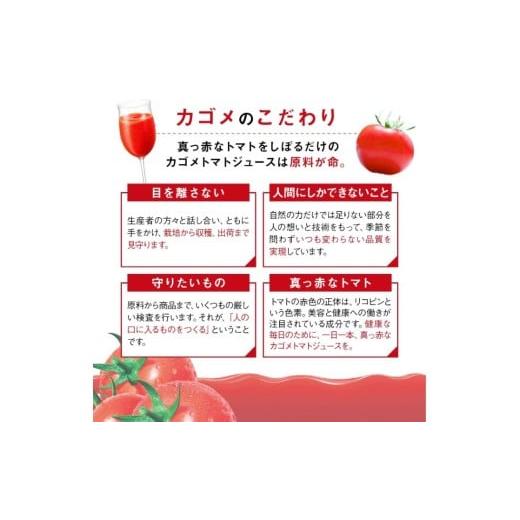ふるさと納税 果汁飲料 トマト 長野県 富士見町  定期便 2ヶ月 カゴメ トマトジュース 食塩無添加 100ml 60本 野菜ジュース 紙パック カゴメトマトジュース ト…の画像