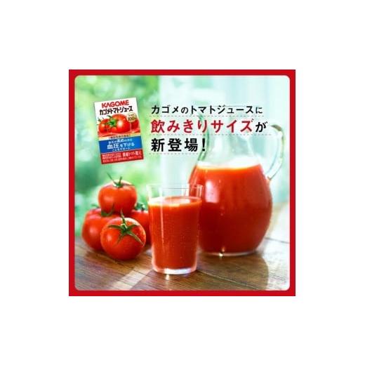 ふるさと納税 果汁飲料 トマト 長野県 富士見町  定期便 10ヶ月 カゴメ トマトジュース 食塩無添加 100ml 90本 野菜ジュース 紙パック カゴメトマトジュース …の画像