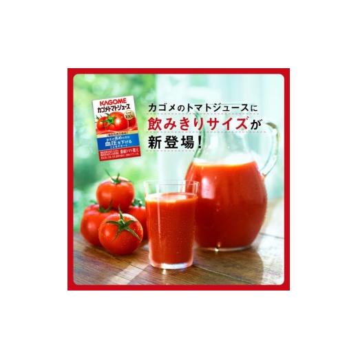 ふるさと納税 果汁飲料 トマト 長野県 富士見町  定期便 9ヶ月 カゴメ トマトジュース 食塩無添加 100ml 120本 野菜ジュース 紙パック カゴメトマトジュース …_4