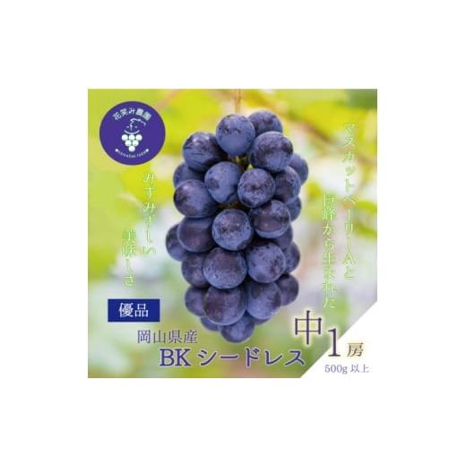 ふるさと納税 ぶどう 岡山県 新庄村 2026年先行受付 岡山 花笑み農園の『BKシードレス』500g以上(中1房) B-中1 1695409