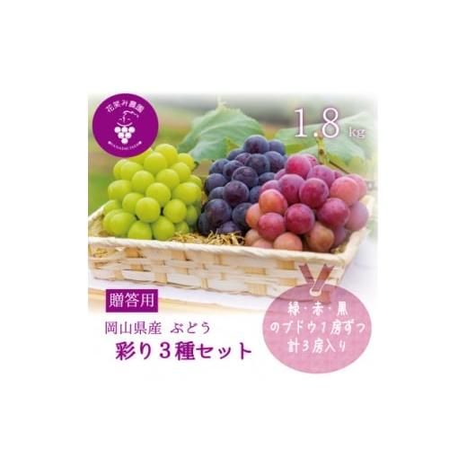 ふるさと納税 ぶどう 岡山県 新庄村 2026年先行受付 岡山 花笑み農園のブドウ『彩り3種セット』贈答用 1.8kg(3房)3M-2上 1695413