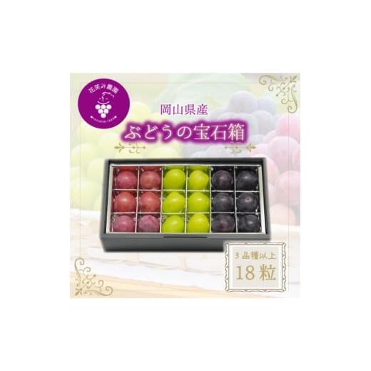 ふるさと納税 ぶどう 岡山県 新庄村 2026年先行受付 岡山 花笑み農園『ブドウの宝石箱』3種以上(18粒入り) 3M-宝18 1696016