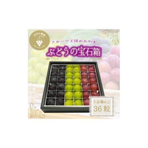 ふるさと納税 ぶどう 岡山県 新庄村 2026年先行受付 岡山 花笑み農園『ブドウの宝石箱』3種以上(36粒入り) 3M-宝36 1696018