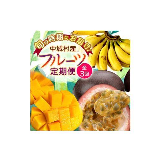 ふるさと納税 マンゴー 沖縄県 中城村 発送月固定定期便 JAおきなわ厳選フルーツセット(パッションフルーツ・マンゴー・島バナナ)全3回 4079615