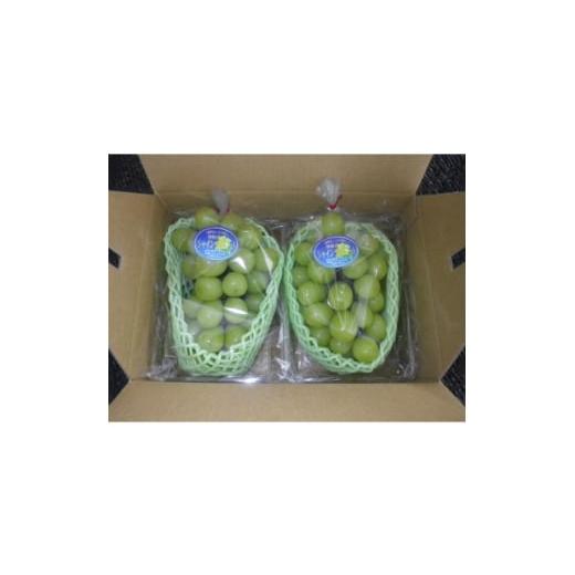 ふるさと納税 ぶどう マスカット 静岡県 磐田市 先行受付 150口限定 シャインマスカット 2房(2026年9月上旬〜中旬発送予定) 1697171