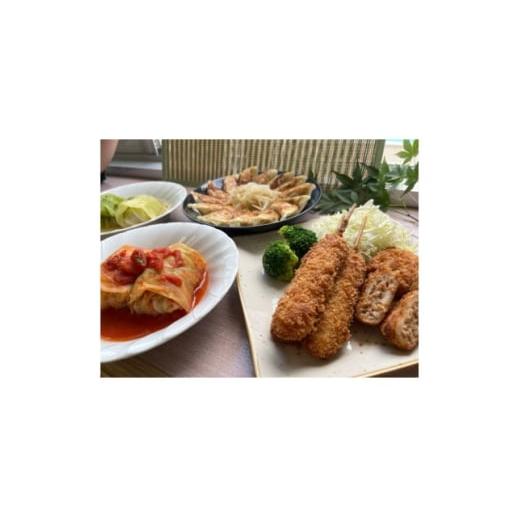 ふるさと納税 餃子 静岡県 湖西市 湖西ポーク使用 冷凍餃子・冷凍串カツ・冷凍ロールキャベツ・冷凍ミニメンチカツ 絶品4点セット 1700008