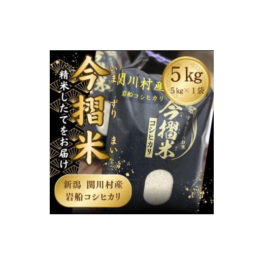 ふるさと納税 米 新潟県 関川村 R7年産 関川村産 岩船コシヒカリ 今摺米 5kg(精米5kg×1袋) JA北新潟 1701348