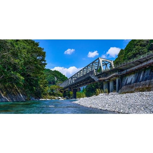 ふるさと納税 服 女 高知県 大豊町 紡々ガーゼのシャツパジャマ(墨・M) オーガニック認証製品 1688411の画像