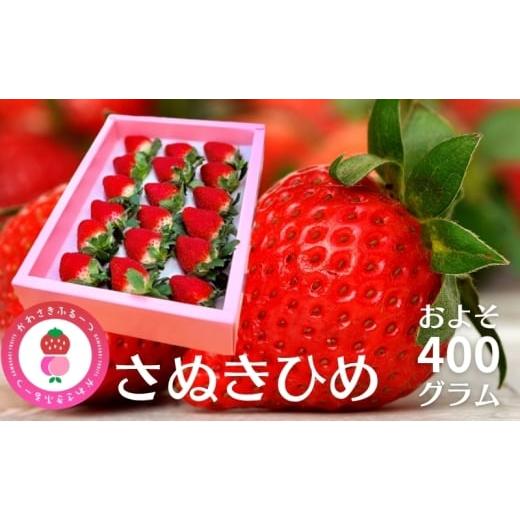 ふるさと納税 いちご 香川県 観音寺市 かわさきふるーつ園 直送 さぬきひめ 苺 約400g