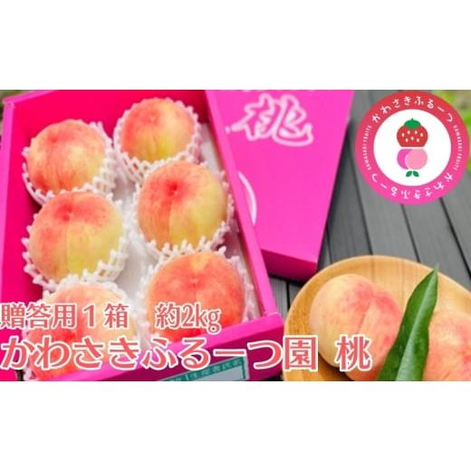 ふるさと納税 もも 香川県 観音寺市 かわさきふるーつ園直送 桃 贈答用1箱 約2kg