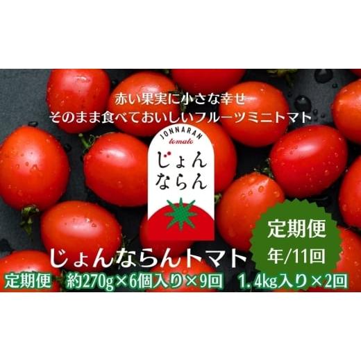 ふるさと納税 野菜類 トマト 香川県 観音寺市 モリヒロ園芸が育てたじょんならんトマトの定期便(年間11回) 野菜 ミニトマト 甘い フルーツ サラダ