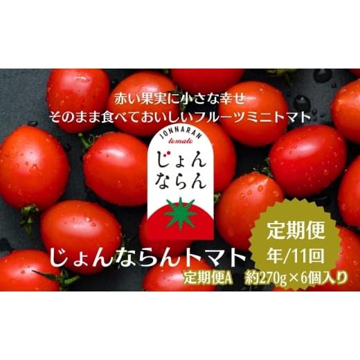 ふるさと納税 野菜類 トマト 香川県 観音寺市 モリヒロ園芸が育てたじょんならんトマトの定期便A 約270g×6個入り(年間11回) 野菜 ミニトマト 甘い フルー…