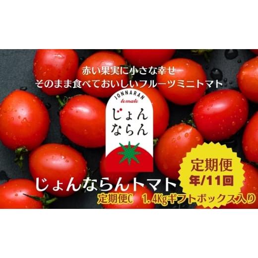 ふるさと納税 野菜類 トマト 香川県 観音寺市 モリヒロ園芸が育てたじょんならんトマトの定期便C ギフトボックス入り(年間11回) 野菜 ミニトマト 甘い フル…