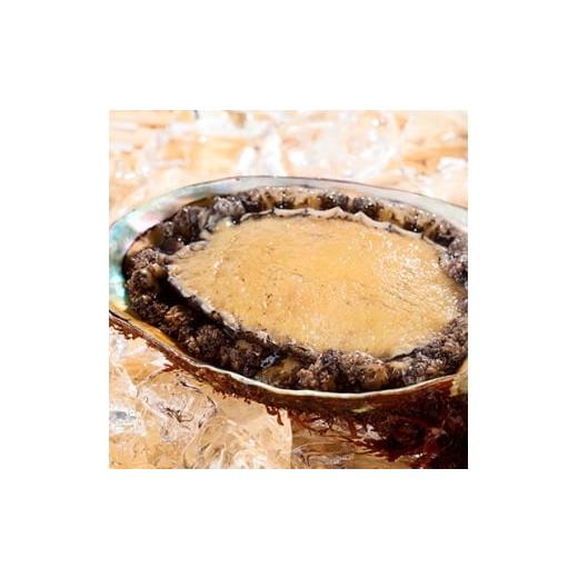 ふるさと納税 魚貝類 アワビ 岩手県 宮古市 三陸重茂産 天然 蝦夷あわび(2号品) 1kg(冷凍) 1698550