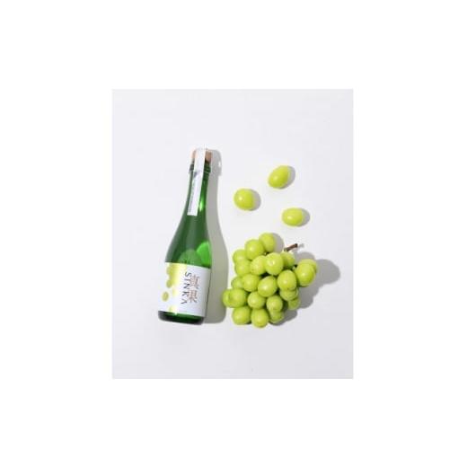 ふるさと納税 ぶどう 山梨県 山梨市 先行予約/2026年8月下旬より発送 山梨県産シャインマスカット+SINKA -真果- セット 1694753