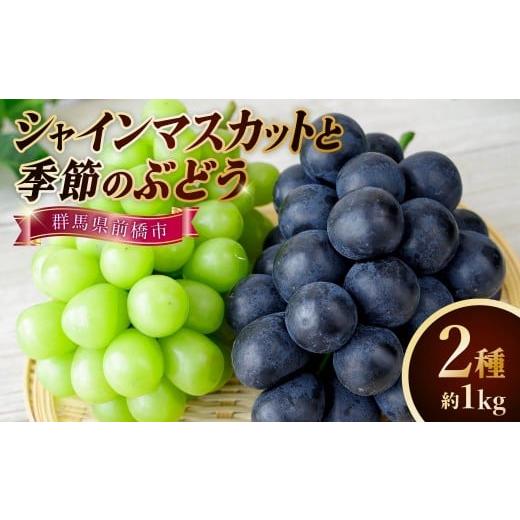 ふるさと納税 ぶどう マスカット 群馬県 前橋市 2026 先行予約 シャインマスカットと季節のぶどう2種箱 合計2房 約1kg 農家直送品 | 朝採れ シャインマスカッ…