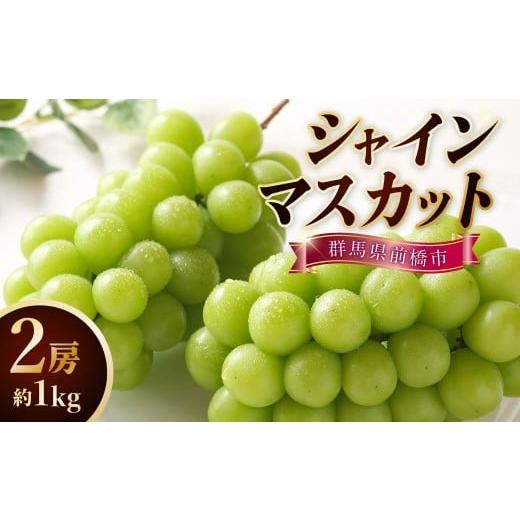 ふるさと納税 ぶどう マスカット 群馬県 前橋市 2026 先行予約 シャインマスカット 2房 約1kg 農家直送品 | 朝採れ シャインマスカット 贈答 新鮮 旬 高級 産…