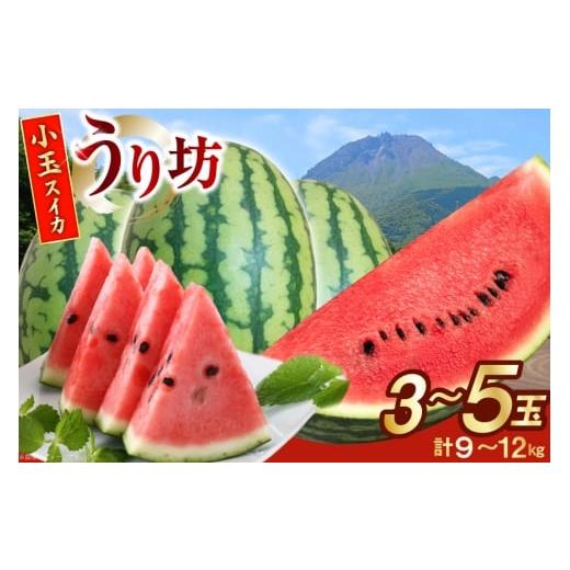 ふるさと納税 スイカ 長崎県 島原市 AJ645 令和8年度出荷分 島原スイカ倶楽部 小玉スイカ うり坊 3〜5玉 計9〜12kg 先行予約 数量限定 小玉 うり坊 スイカ 西…