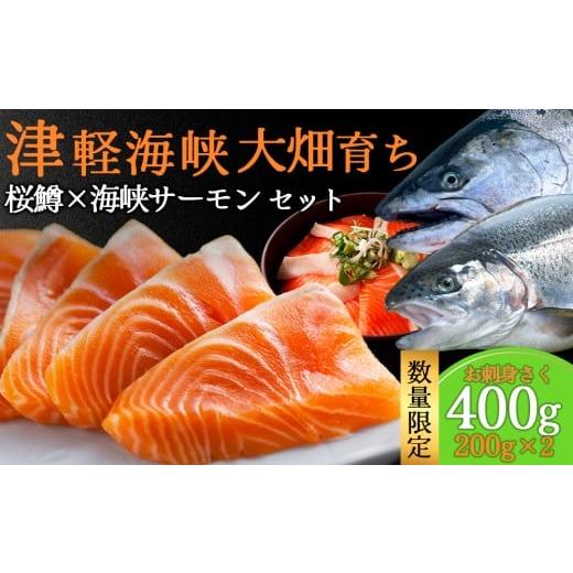 ふるさと納税 魚貝類 サーモン 青森県 むつ市 期間限定発送 津軽海峡 大畑産海峡サーモンと桜鱒 お刺身さく食べ比べセット