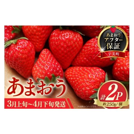 ふるさと納税 いちご 福岡県 宇美町 あまおう いちご 約250g × 2P 3月上旬 4月下旬 一千也フーズ 福岡県 宇美町 um40azp140006 苺 イチゴ フルーツ ストロベ…