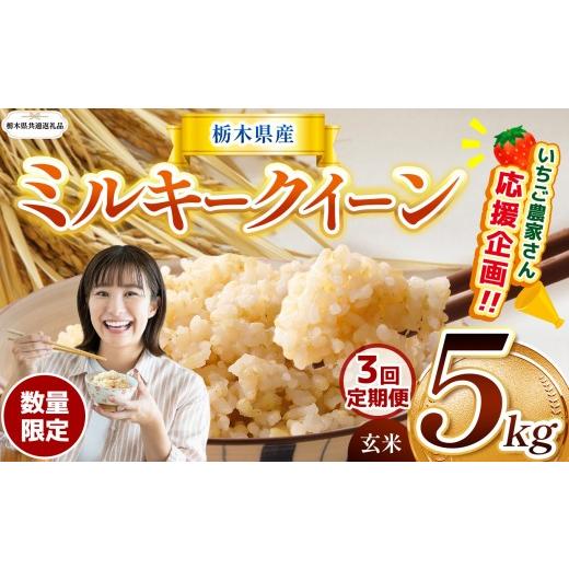 ふるさと納税 玄米 栃木県 那珂川町 栃木県共通返礼品 先行予約 定期3回 訳あり 定期便 数量 限定 令和8年度産 ミルキークイーン 玄米 5kg| とちぎの星 ミル…