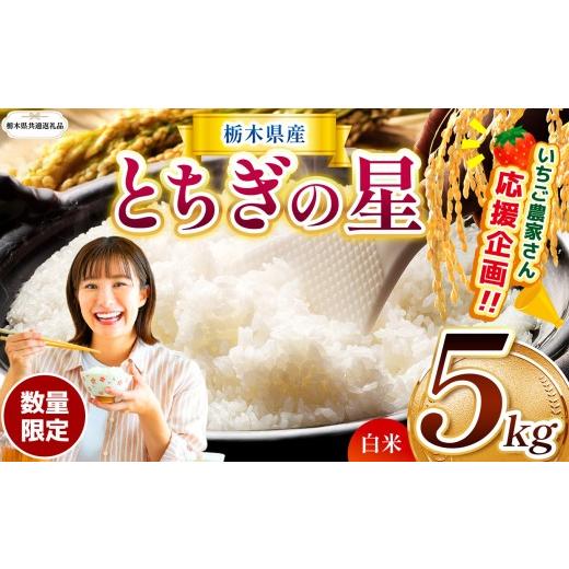 ふるさと納税 米 栃木県 那珂川町 栃木県共通返礼品 訳あり 定期便 数量 限定 令和8年度産 とちぎの星 約 5kg| とちぎの星 白米 ごはん おいしい 品種 お米 …