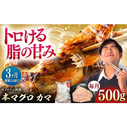 ふるさと納税 マグロ 長崎県 対馬市 全3回定期便 対馬産 本マグロ カマ 500g 対馬市 桐谷商店 トロの華 対馬 新鮮 マグロ かま 鮪
