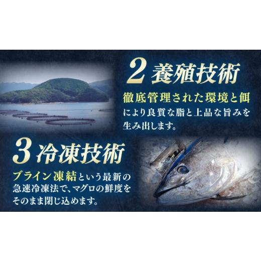 ふるさと納税 マグロ 長崎県 対馬市  全3回定期便 対馬産 本マグロ カマ 1.5kg 対馬市 桐谷商店 トロの華 対馬 新鮮 マグロ かま 鮪 WAQ100の画像