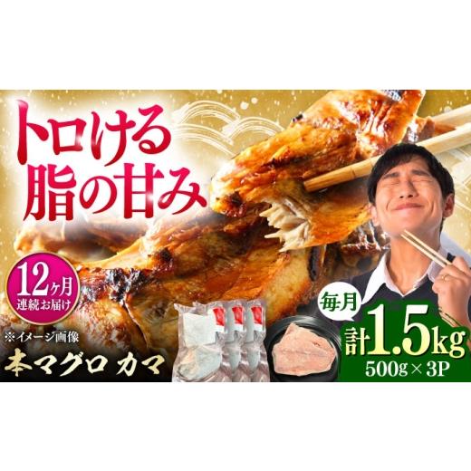 ふるさと納税 マグロ 長崎県 対馬市  全12回定期便 対馬産 本マグロ カマ 1.5kg 対馬市 桐谷商店 トロの華 対馬 新鮮 マグロ かま 鮪 WAQ102_1