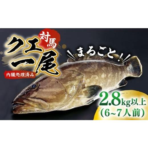 ふるさと納税 旬の鮮魚等 長崎県 対馬市 対馬産クエ 丸ごと1匹 2.8kg以上 [対馬市] エムズスタイル 直送 新鮮 マルモン 刺身 しゃぶしゃぶ 鍋 くえ アラ 高…