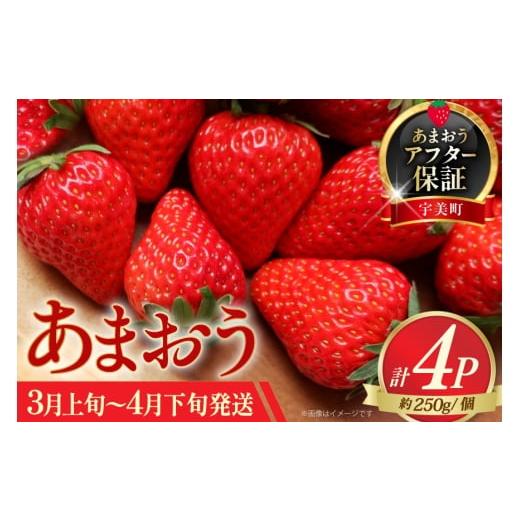 ふるさと納税 いちご 福岡県 宇美町 あまおう いちご 約250g×4P 3月上旬 4月下旬 一千也フーズ 福岡県 宇美町 um40azp140005 苺 イチゴ フルーツ ストロベリ…