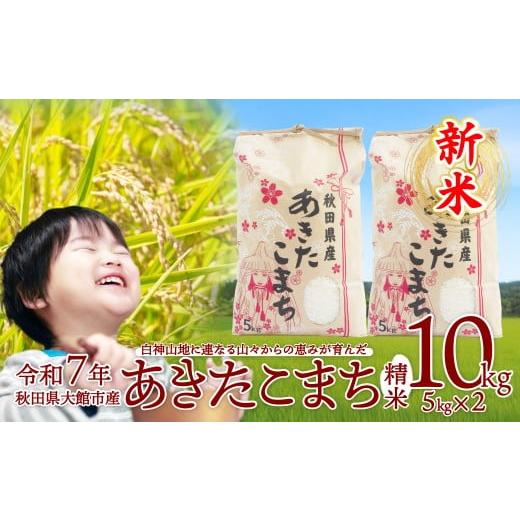 ふるさと納税 米 あきたこまち 秋田県 大館市 期間限定 新米 令和7年産 あきたこまち(精米)10kg(5kg×2袋)130P9001/ 米 10kg 白米 令和7年産 秋田県産 あき…