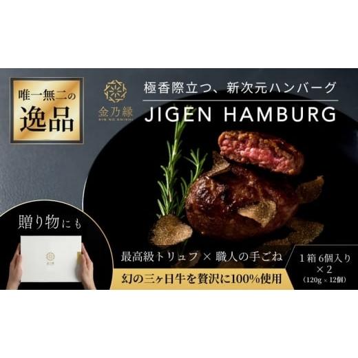 ふるさと納税 惣菜・レトルト 冷凍 静岡県 浜松市 次元ハンバーグ120g×12個 配送不可:離島 金乃縁 ハンバーグ 冷凍 国産 三ヶ日牛 牛肉 トリュフ風味 ギフト…