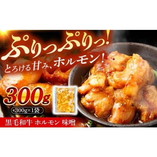 ふるさと納税 牛肉 ホルモン 岐阜県 瑞浪市 岐阜県産 黒毛和牛ホルモン 味噌 300g (300g×1袋) 瑞浪市 / マルチョウ渡辺精肉店 和牛ホルモン 焼肉 炒め 国…