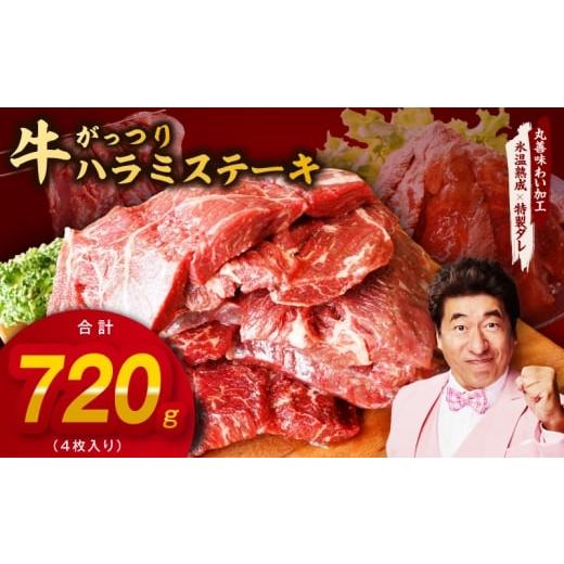 ふるさと納税 牛肉 ホルモン 大阪府 泉佐野市 がっつり 牛ハラミステーキ 720g 氷温熟成×特製ダレ 小分け 360g×2パック 牛肉 すてーき 焼くだけ