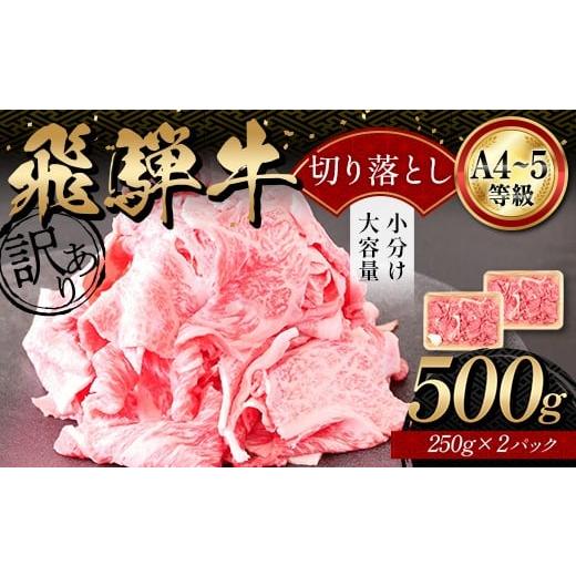 ふるさと納税 牛肉 焼肉・バーベキュー 岐阜県 坂祝町 A4等級以上 飛騨牛 焼肉 切り落とし 250g × 2 計 500g 牛肉 ブランド牛 肉 切落し わけあり ぎゅうにく…